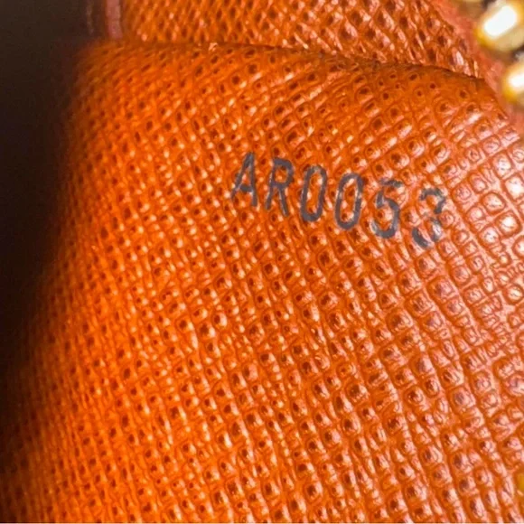 LOUIS VUITTON AMAZON CROSSBODY - Picture 7 of 10